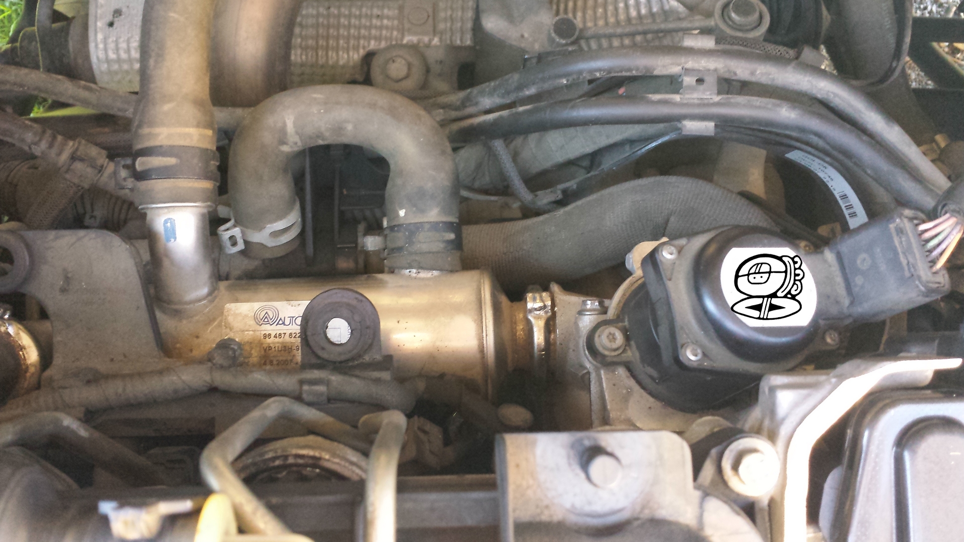 Supprimer l&rsquo;EGR sur 1.6 Hdi